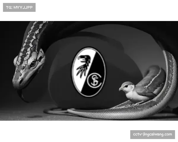 德甲引入实时AI战术分析解说,首周收视峰值较上周提升15%